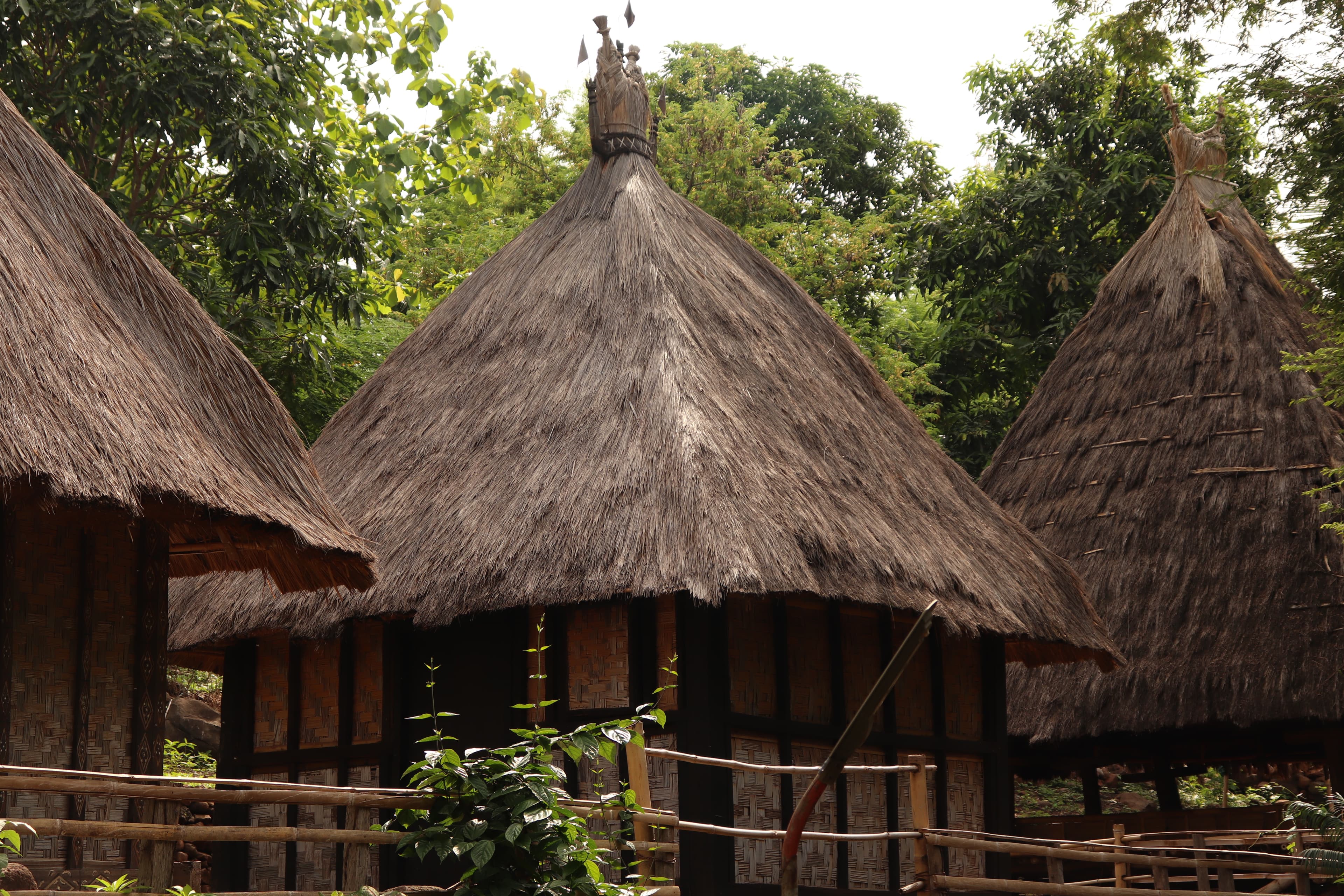 Budaya Lokal
